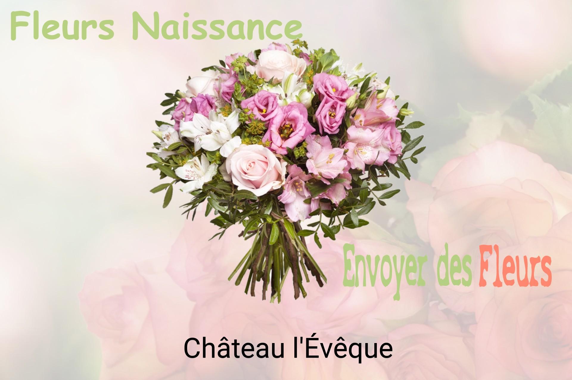 Bouquet de fleurs de naissance livré à Château-l'Évêque